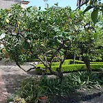 Nocleg ze śniadaniem Maria Giarre