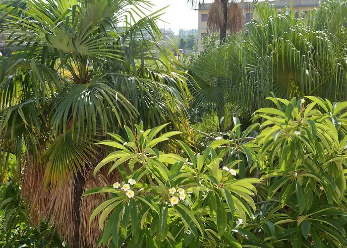 Maria 住宿加早餐酒店