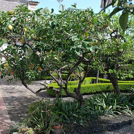 Oda ve Kahvaltı Maria Giarre